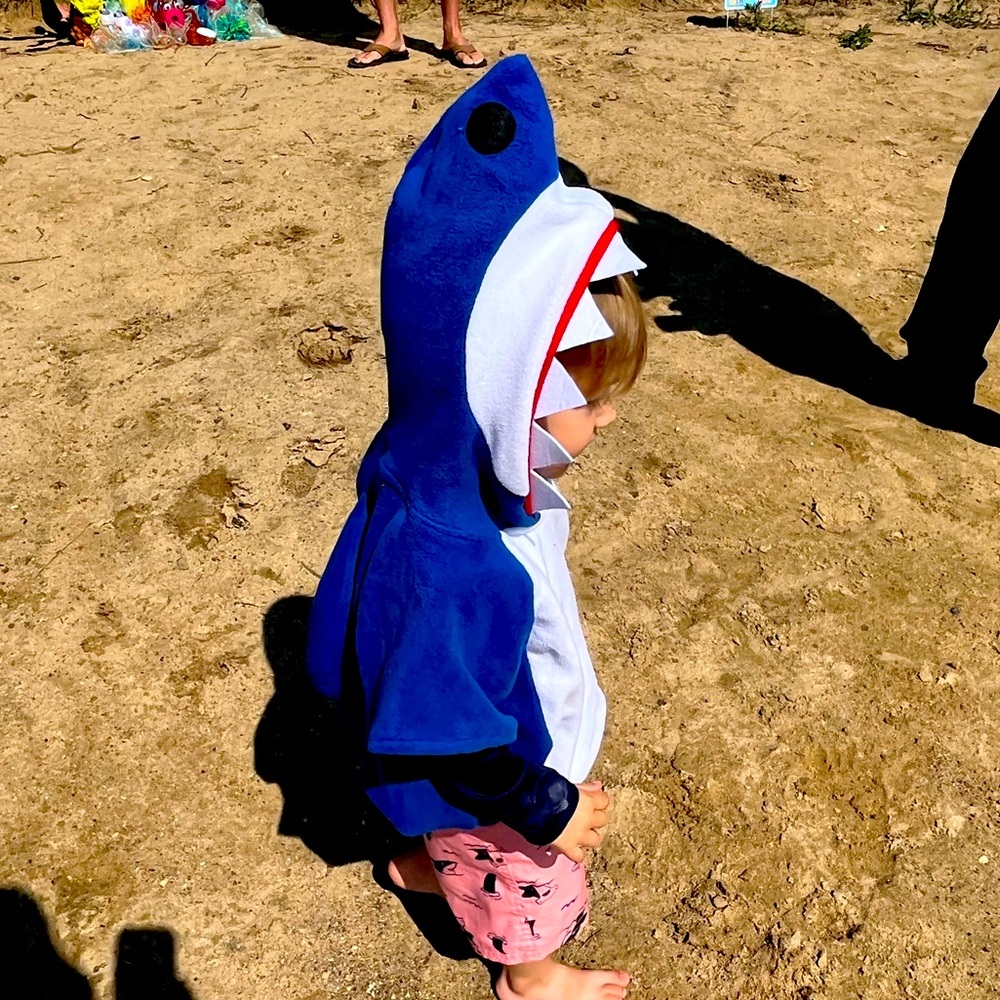 Baby shark costume , 18-24 months